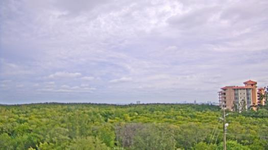 Weather camera view of WTSP-TV.