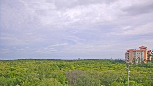 Weather camera view of WTSP-TV.