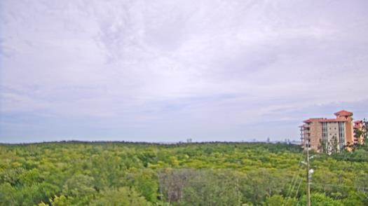 Weather camera view of WTSP-TV.