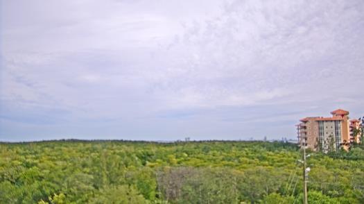 Weather camera view of WTSP-TV.