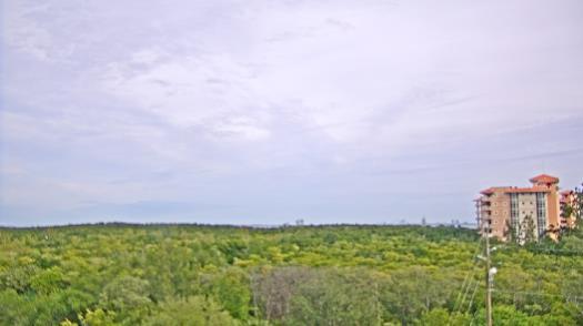 Weather camera view of WTSP-TV.