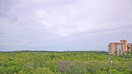 Weather camera view of WTSP-TV.