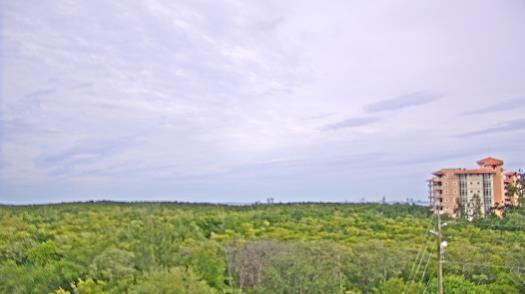 Weather camera view of WTSP-TV.