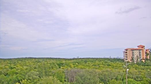 Weather camera view of WTSP-TV.