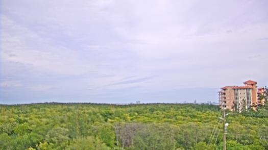 Weather camera view of WTSP-TV.