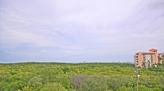 Weather camera view of WTSP-TV.