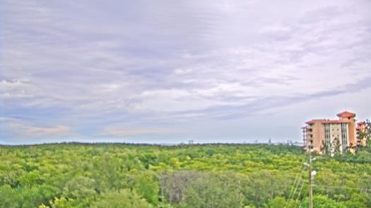 Weather camera view of WTSP-TV.