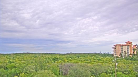 Weather camera view of WTSP-TV.