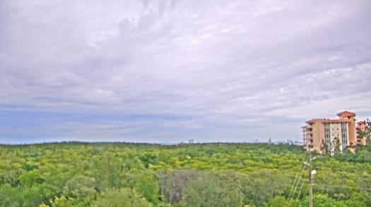 Weather camera view of WTSP-TV.