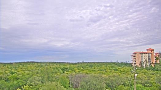 Weather camera view of WTSP-TV.