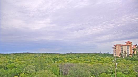 Weather camera view of WTSP-TV.