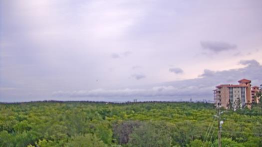 Weather camera view of WTSP-TV.