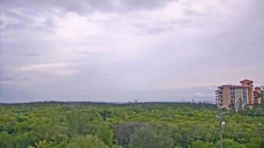 Weather camera view of WTSP-TV.