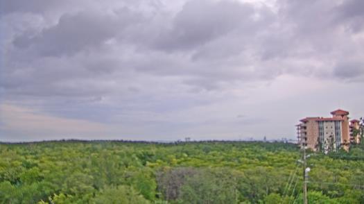 Weather camera view of WTSP-TV.