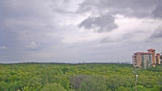 Weather camera view of WTSP-TV.