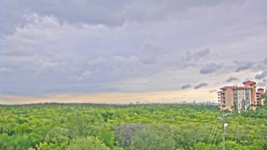 Weather camera view of WTSP-TV.