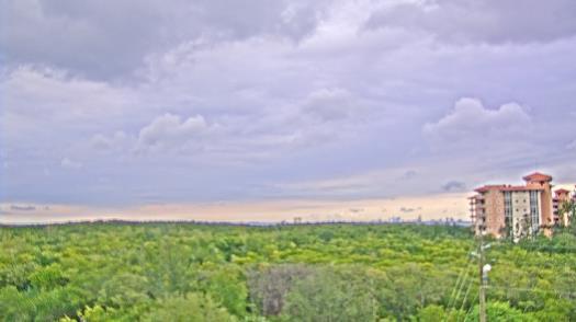 Weather camera view of WTSP-TV.