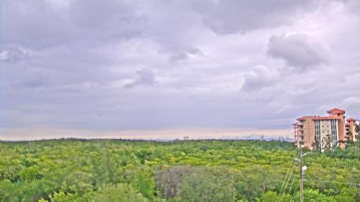 Weather camera view of WTSP-TV.