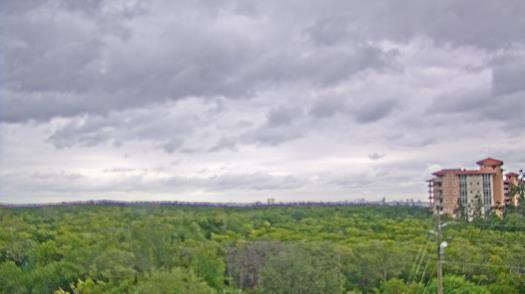 Weather camera view of WTSP-TV.