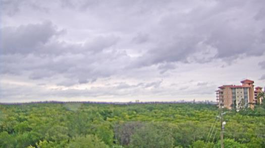 Weather camera view of WTSP-TV.