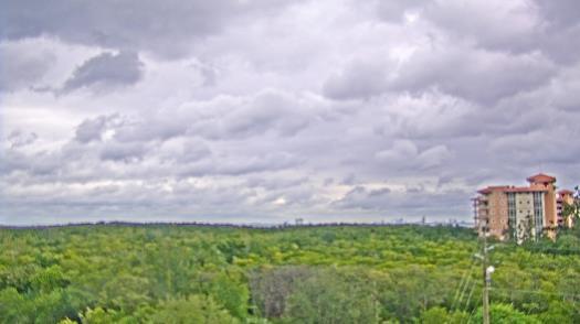 Weather camera view of WTSP-TV.