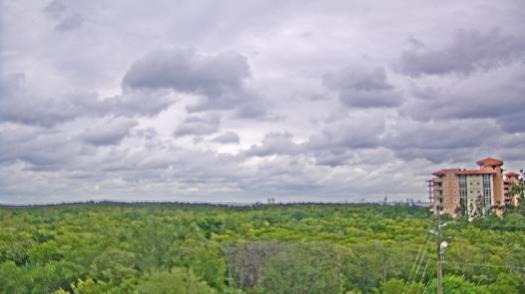 Weather camera view of WTSP-TV.