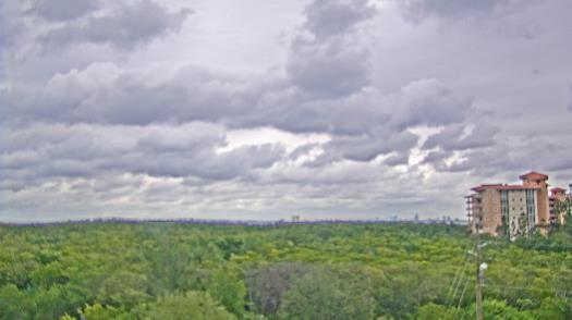 Weather camera view of WTSP-TV.