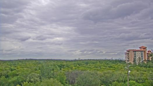 Weather camera view of WTSP-TV.