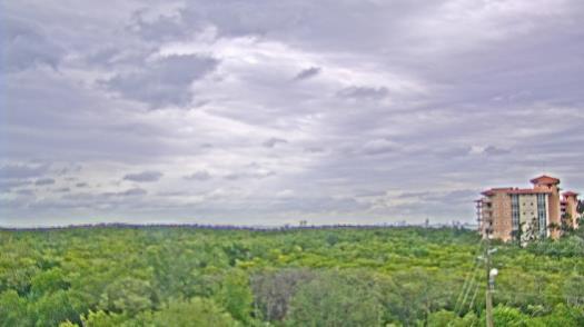 Weather camera view of WTSP-TV.