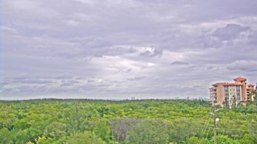 Weather camera view of WTSP-TV.