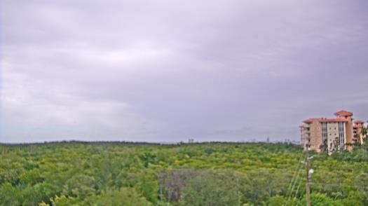 Weather camera view of WTSP-TV.