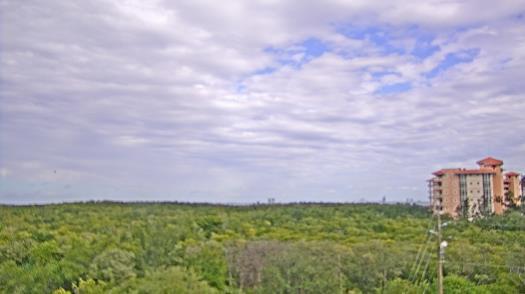 Weather camera view of WTSP-TV.