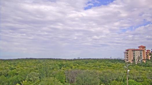 Weather camera view of WTSP-TV.