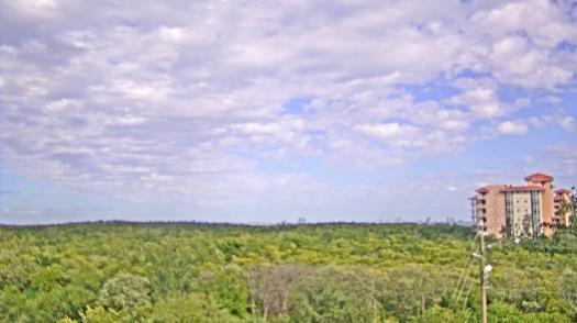 Weather camera view of WTSP-TV.