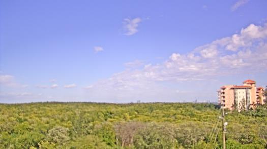 Weather camera view of WTSP-TV.