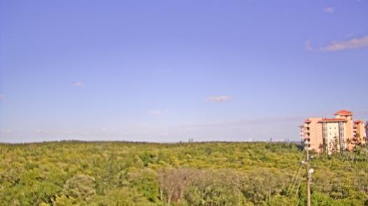 Weather camera view of WTSP-TV.