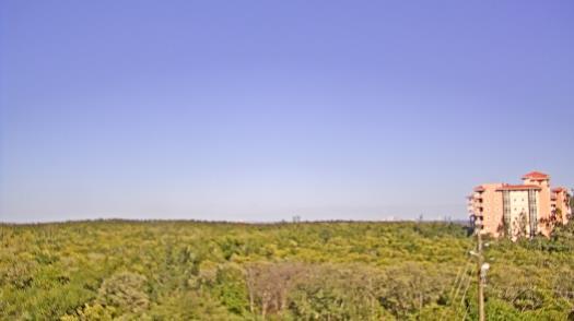 Weather camera view of WTSP-TV.