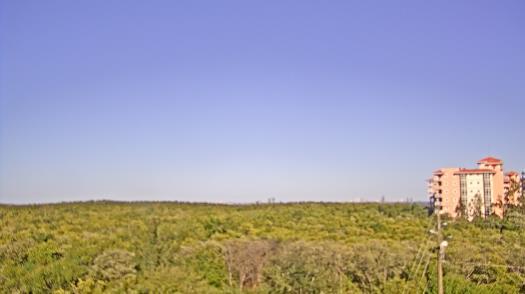 Weather camera view of WTSP-TV.