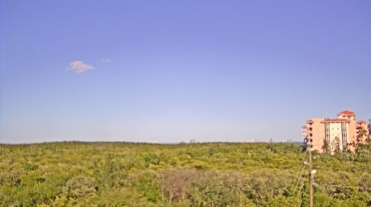 Weather camera view of WTSP-TV.