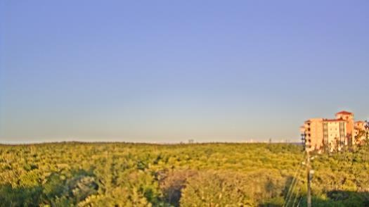 Weather camera view of WTSP-TV.