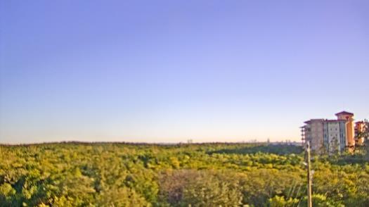 Weather camera view of WTSP-TV.