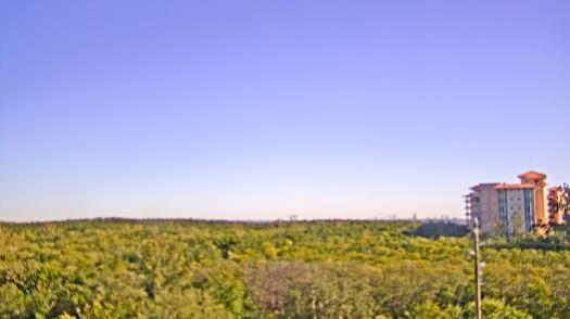 Weather camera view of WTSP-TV.