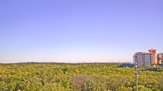 Weather camera view of WTSP-TV.