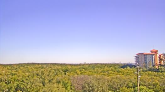 Weather camera view of WTSP-TV.