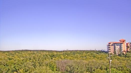 Weather camera view of WTSP-TV.