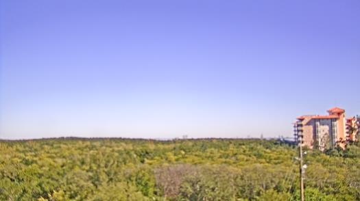 Weather camera view of WTSP-TV.