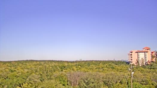 Weather camera view of WTSP-TV.