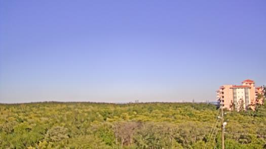 Weather camera view of WTSP-TV.