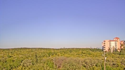 Weather camera view of WTSP-TV.