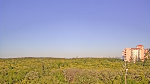 Weather camera view of WTSP-TV.